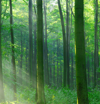 九游会·J9 - 中国官方网站 | 真人游戏第一品牌