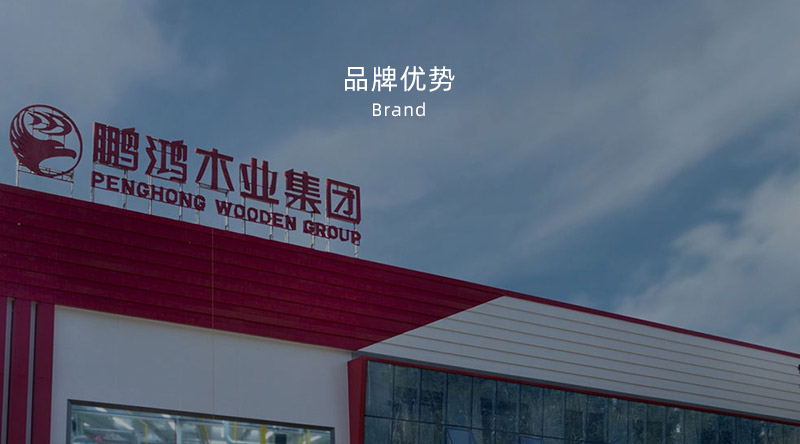 板材品牌、、、全屋定制品牌、、、生态板十大品牌