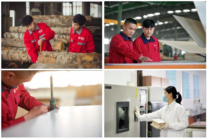 九游会·J9 - 中国官方网站 | 真人游戏第一品牌