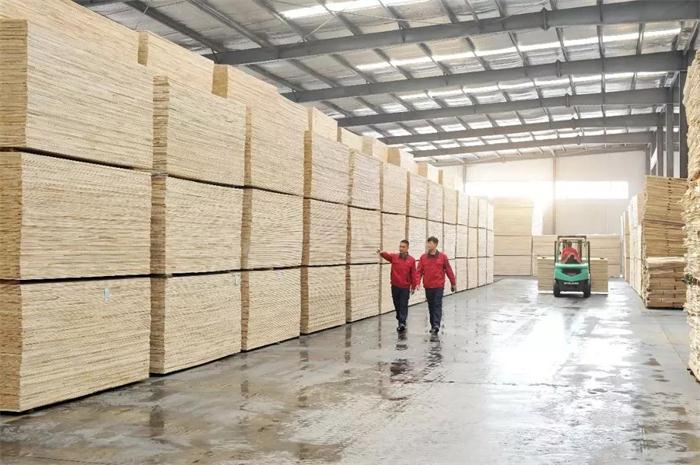 九游会·J9 - 中国官方网站 | 真人游戏第一品牌