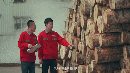 九游会·J9 - 中国官方网站 | 真人游戏第一品牌