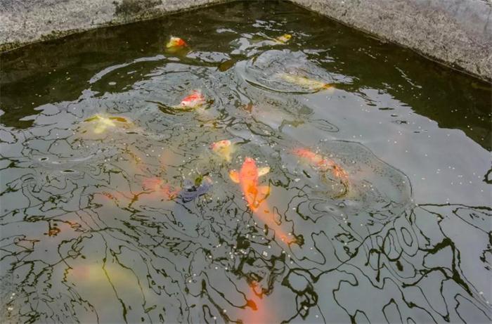 九游会·J9 - 中国官方网站 | 真人游戏第一品牌