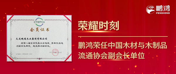 再获行业肯定，九游会J9荣任中国木料与木制品流通协会副会长