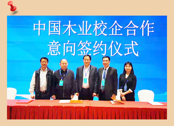 九游会J9与中国木业相助