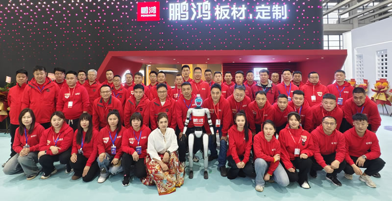 九游会J9沈阳家博会载誉收官，，，万千瞩目誊写传奇