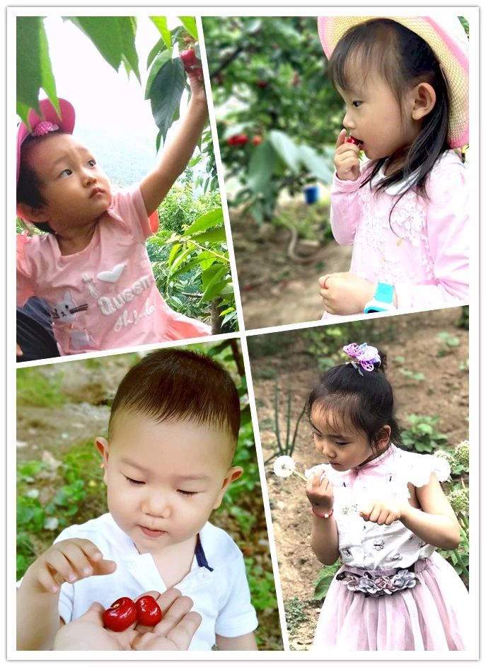 九游会·J9 - 中国官方网站 | 真人游戏第一品牌